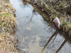 村民诉称河道被垃圾污染致河水臭气熏天